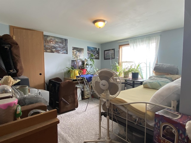 1601 72nd St, Minot, ND 58701 - bedroom featuring carpet floors