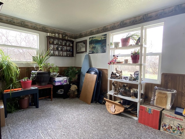 1601 72nd St, Minot, ND 58701 - miscellaneous room featuring wainscoting, carpet, a textured ceiling, and wooden walls