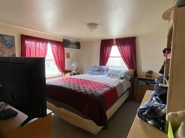 1601 72nd St, Minot, ND 58701 - view of bedroom