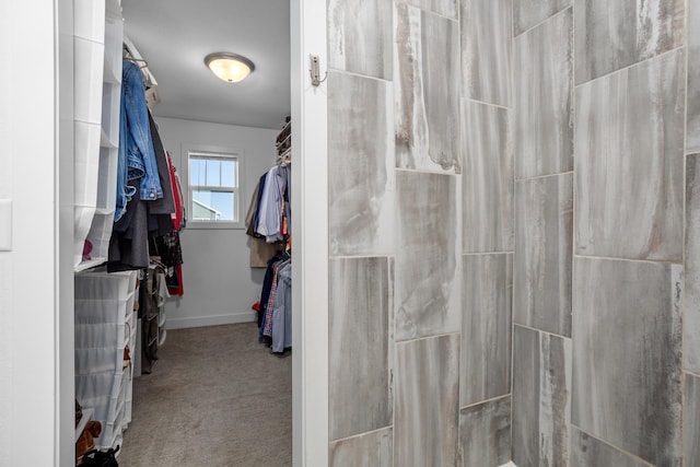 114 Mulberry Loop, Minot, ND 58703 - walk in closet featuring carpet floors