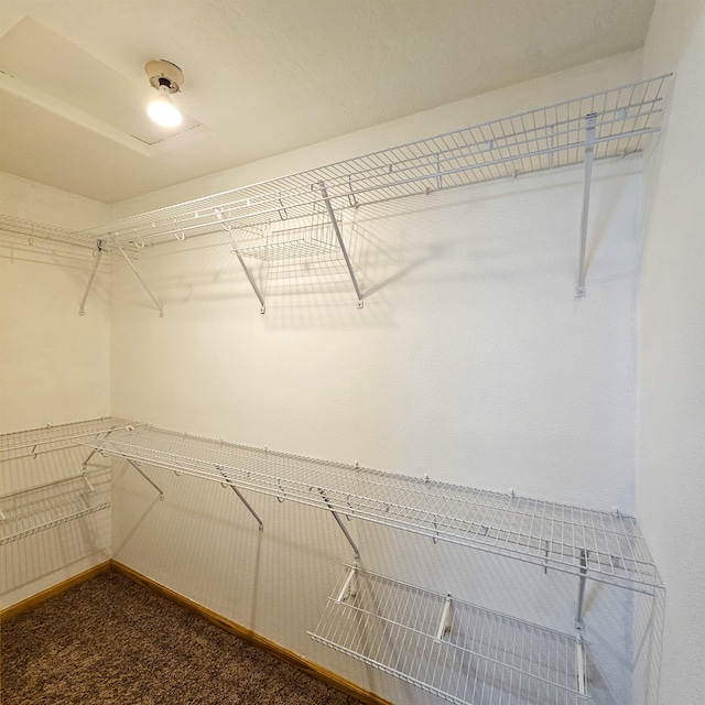 611 16th St, Minot, ND 58701 - walk in closet with dark colored carpet