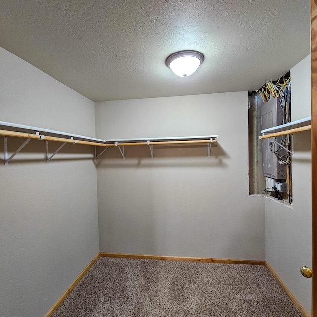 611 16th St, Minot, ND 58701 - walk in closet with carpet and electric panel