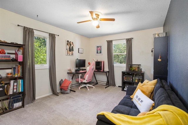 1001 20th St, Minot, ND 58703 - office with ceiling fan, healthy amount of natural light, carpet, and baseboards
