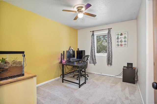 1001 20th St, Minot, ND 58703 - office space featuring a ceiling fan, carpet floors, baseboards, and a textured ceiling