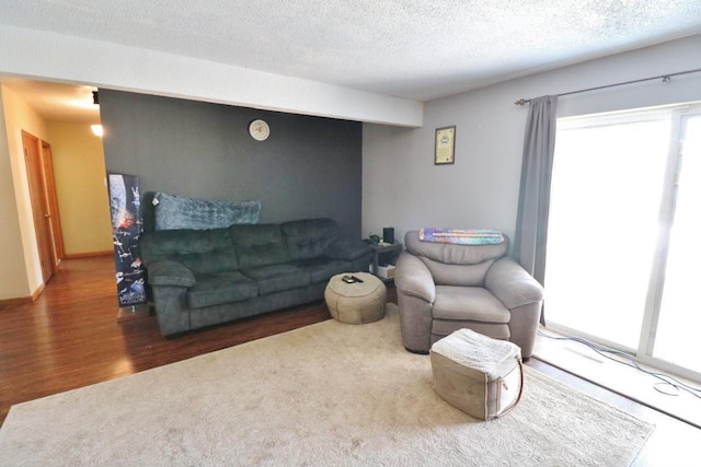 306 Davis St, Burlington, ND 58722 - living area featuring wood finished floors and a textured ceiling