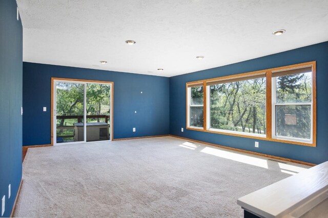4401 38th St, Minot, ND 58701 - unfurnished room with healthy amount of natural light, carpet floors, and baseboards