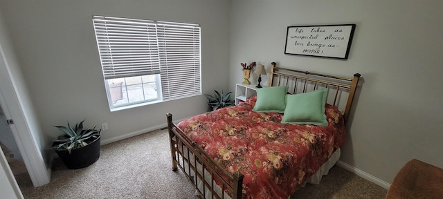 1728 Rivers Edge, Minot, ND 58701 - bedroom with carpet and baseboards