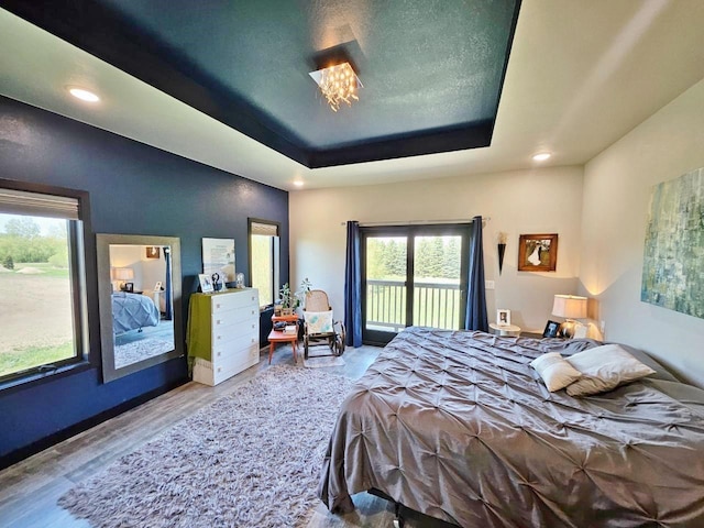 1007 5th St, Rugby, ND 58368 - bedroom with access to exterior, multiple windows, wood finished floors, a tray ceiling, and recessed lighting
