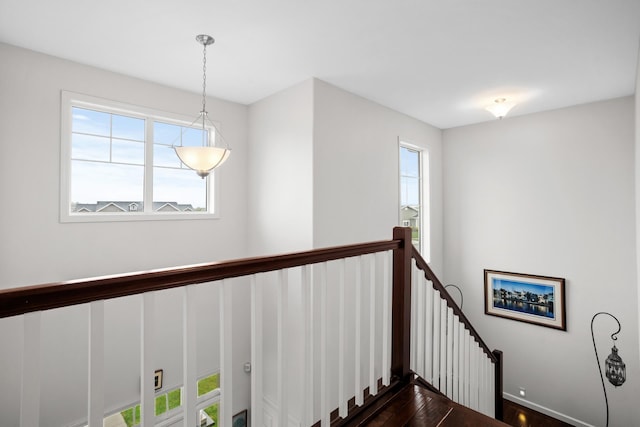 1804 Valley Bluffs Dr, Minot, ND 58701 - stairs featuring wood finished floors