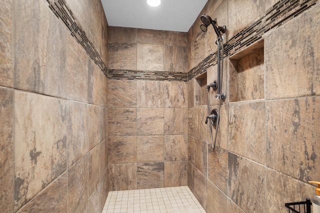 1804 Valley Bluffs Dr, Minot, ND 58701 - full bath with tiled shower
