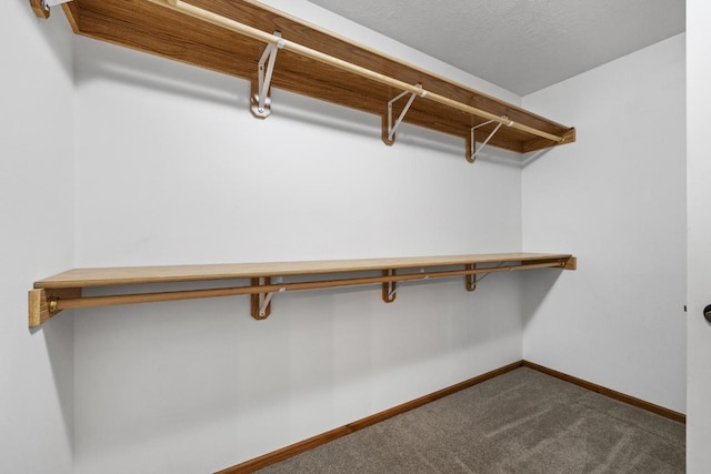 625 34th Ave Unit A, Minot, ND 58701 - walk in closet featuring dark carpet