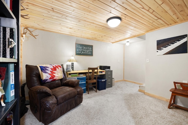 1816 7th St, Minot, ND 58703 - office area with wooden ceiling and carpet floors
