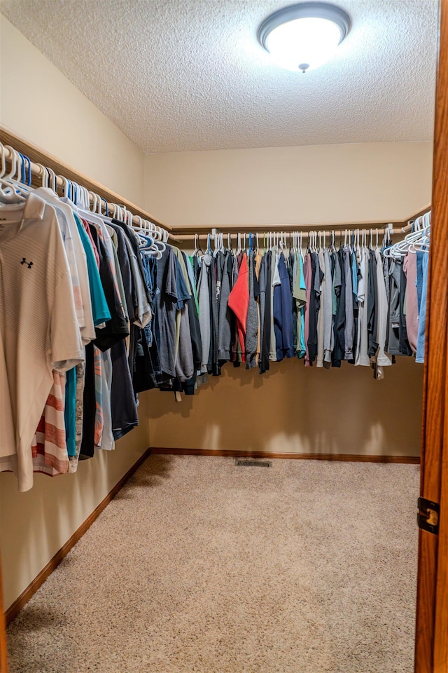 3030 Mustang Trl, Minot, ND 58703 - walk in closet with carpet flooring