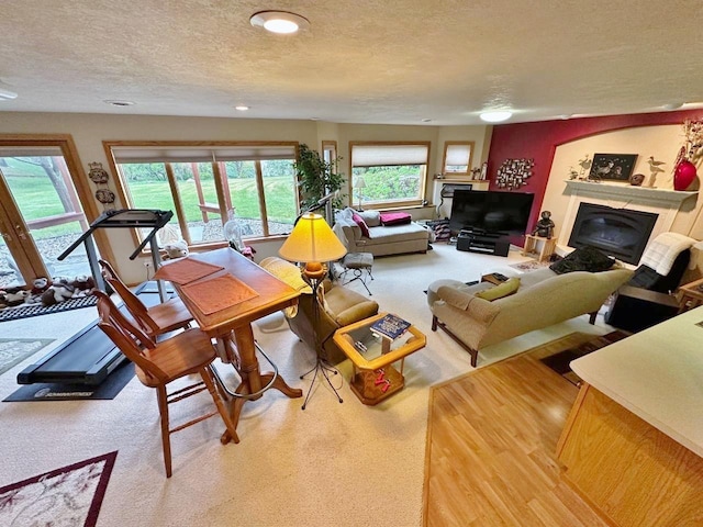 2900 8th St, Minot, ND 58701 - living room with a textured ceiling and a glass covered fireplace
