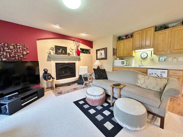 2900 8th St, Minot, ND 58701 - living room featuring light carpet and a fireplace with raised hearth