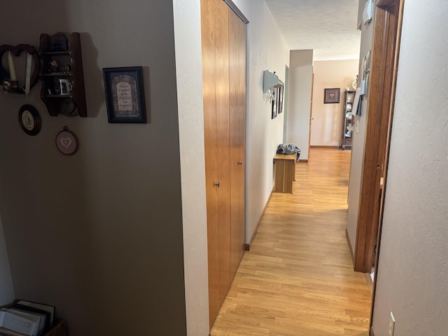 1130 8th St, Minot, ND 58703 - hall with light wood-style floors and a textured wall