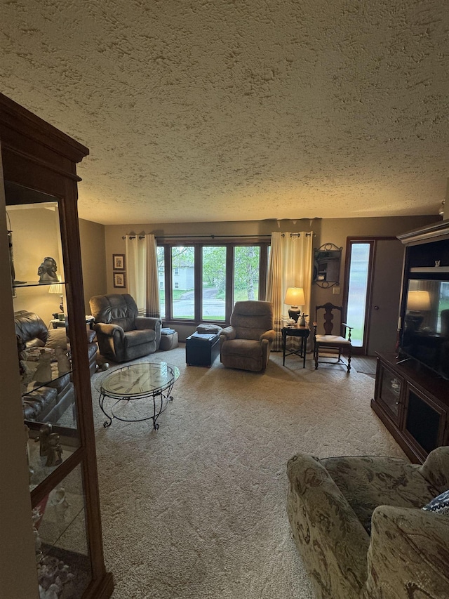 1130 8th St, Minot, ND 58703 - living room featuring a textured ceiling and carpet