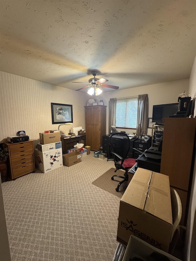 1130 8th St, Minot, ND 58703 - office area with carpet floors, ceiling fan, and a textured ceiling