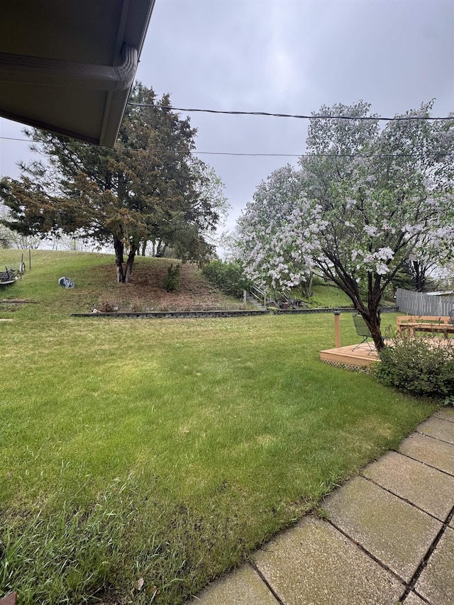 1130 8th St, Minot, ND 58703 - view of grassy yard