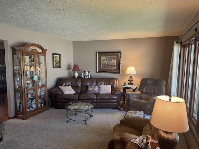 1130 8th St, Minot, ND 58703 - carpeted living area featuring a textured ceiling