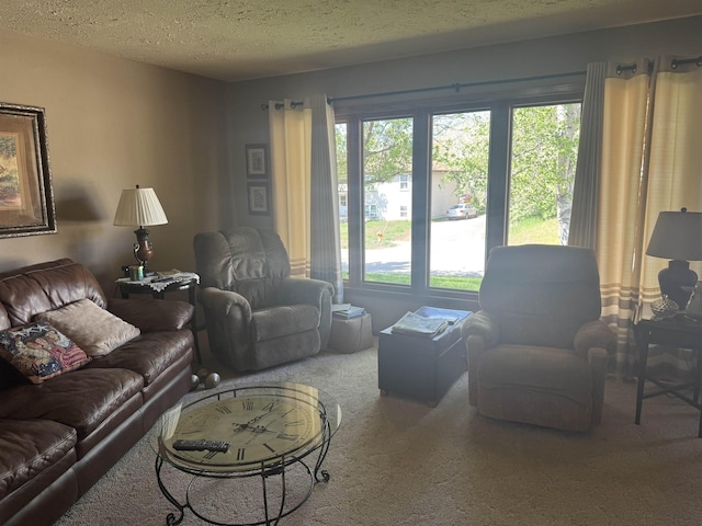 1130 8th St, Minot, ND 58703 - living area featuring carpet and a textured ceiling