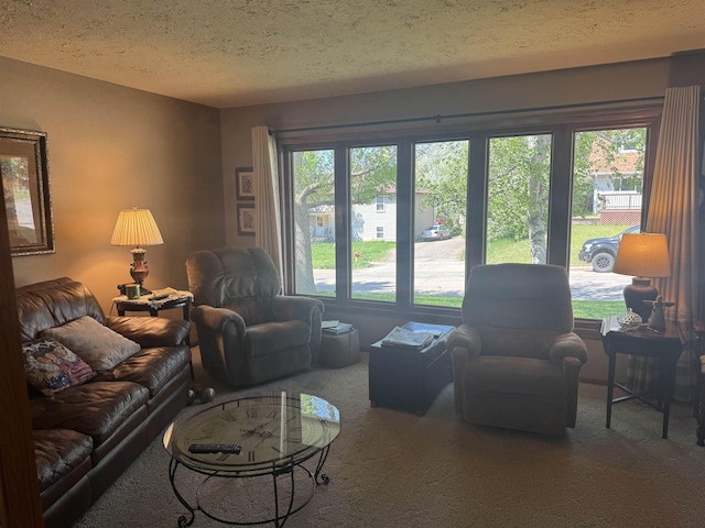 1130 8th St, Minot, ND 58703 - carpeted living area with plenty of natural light and a textured ceiling