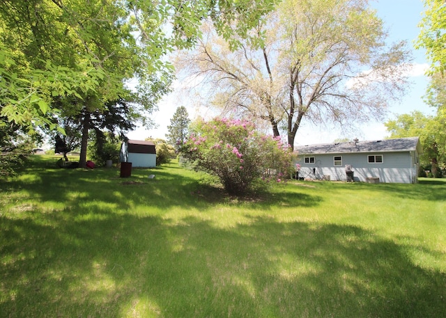 506 W Ave, Granville, ND 58741 - view of green lawn