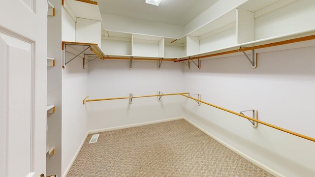 2700 18th Ave, Minot, ND 58701 - walk in closet with carpet