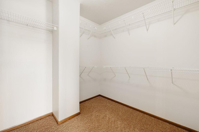 1600 16th St, Minot, ND 58701 - walk in closet featuring light colored carpet