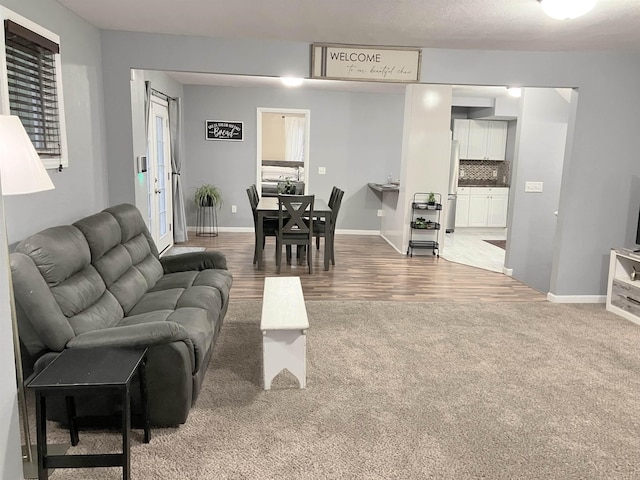 430 NW 2nd Ave, Minot, ND 58703 - living room featuring carpet floors, baseboards, and wood finished floors