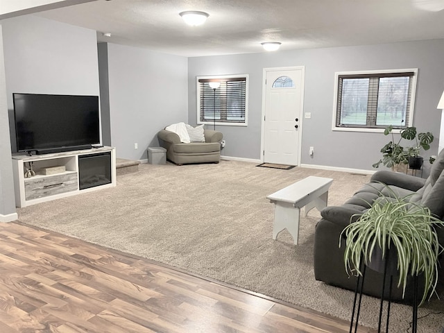 430 NW 2nd Ave, Minot, ND 58703 - living area with baseboards and wood finished floors