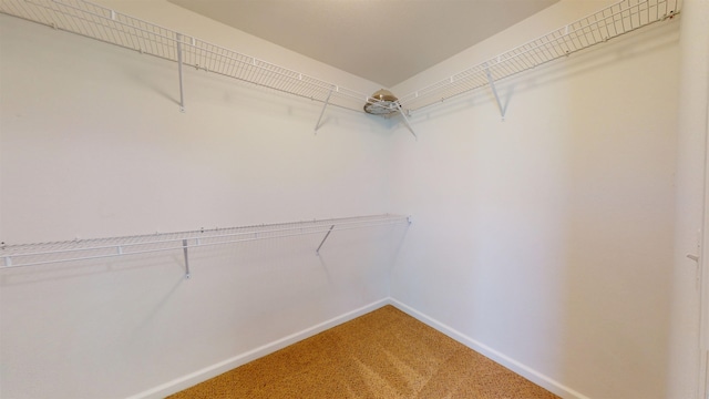 2947 8th St, Minot, ND 58703 - walk in closet featuring light carpet