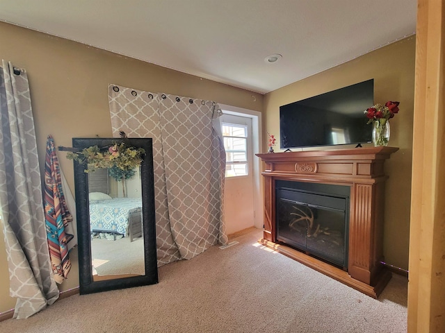 4920 10th Ave NW, Minot, ND 58703 - living area with a glass covered fireplace and carpet flooring