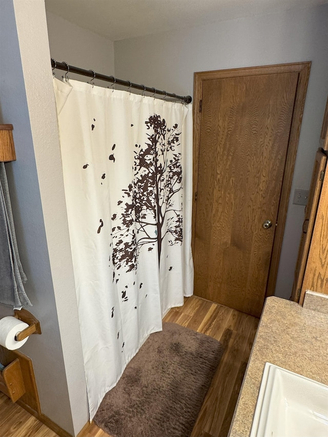 919 9th St, Minot, ND 58703 - bathroom featuring wood finished floors, vanity, and a shower with shower curtain