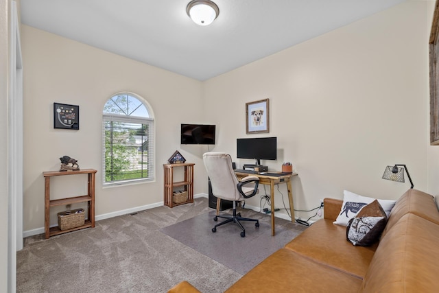 1321 Golden Valley Ln, Minot, ND 58703 - carpeted home office with baseboards
