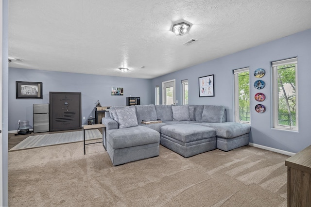 1321 Golden Valley Ln, Minot, ND 58703 - carpeted living room featuring baseboards and a textured ceiling