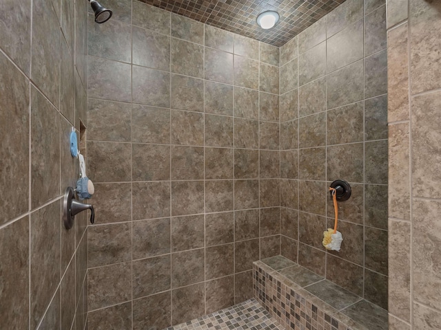 6125 11th Ave, Minot, ND 58701 - bathroom with tiled shower