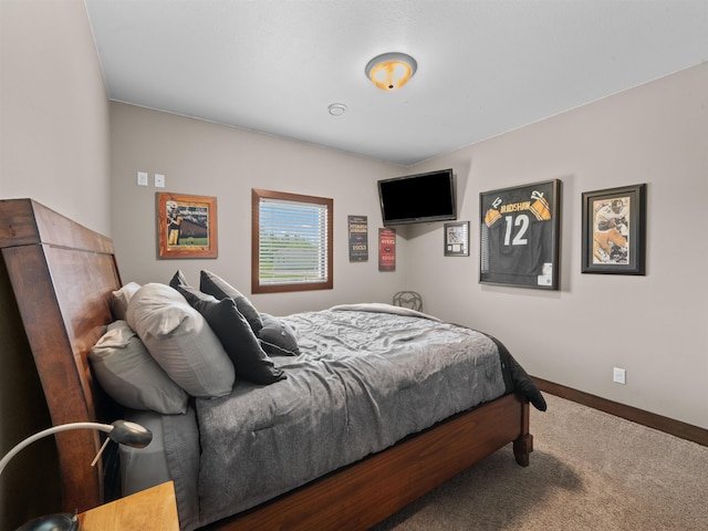 6125 11th Ave, Minot, ND 58701 - carpeted bedroom featuring baseboards
