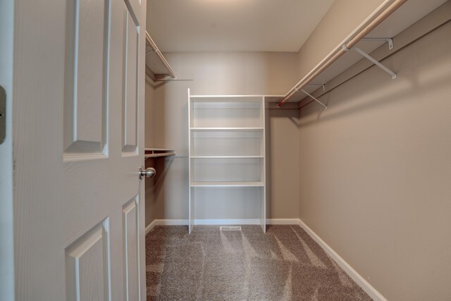 3328 NW 20th Ave, Minot, ND 58703 - spacious closet with carpet floors