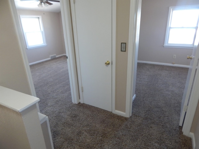 2014 4th St, Minot, ND 58703 - hallway featuring carpet and plenty of natural light