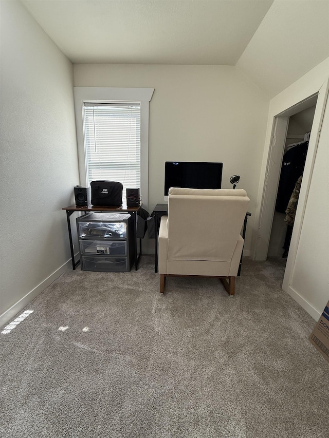 510 4th St, Minot, ND 58703 - carpeted office featuring vaulted ceiling and baseboards