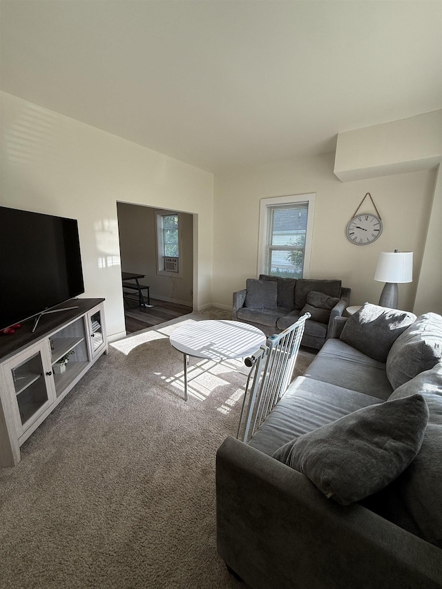 510 4th St, Minot, ND 58703 - view of carpeted living area