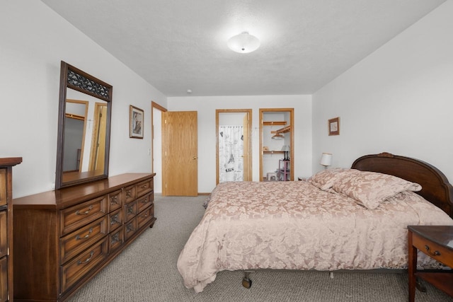 2009 14th St, Minot, ND 58703 - view of carpeted bedroom