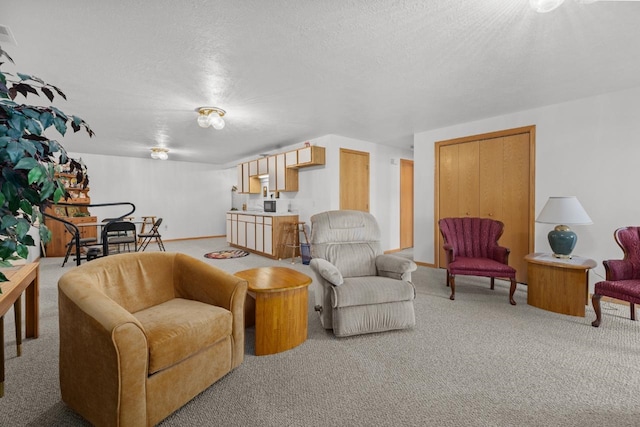 2009 14th St, Minot, ND 58703 - living area with light colored carpet and a textured ceiling