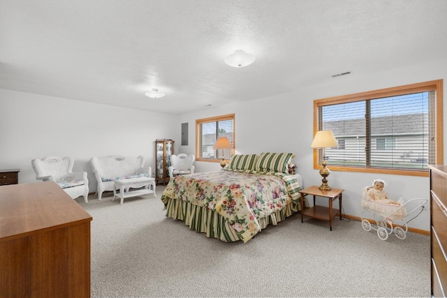 2009 14th St, Minot, ND 58703 - carpeted bedroom with multiple windows