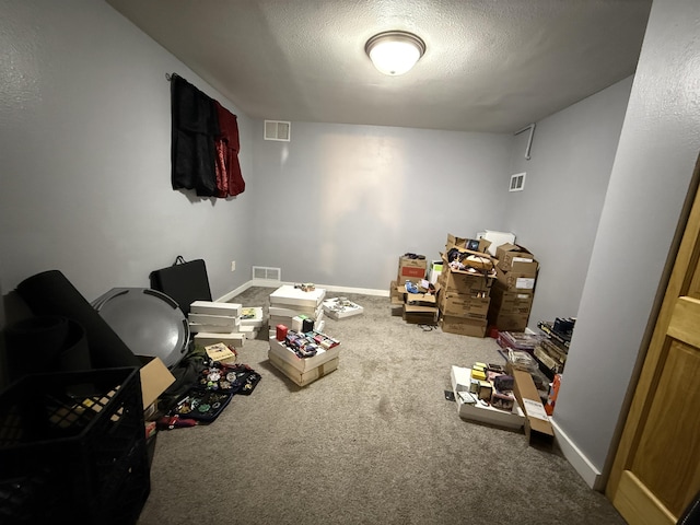 3301 SE 1st St, Minot, ND 58701 - interior space featuring carpet floors and a textured ceiling