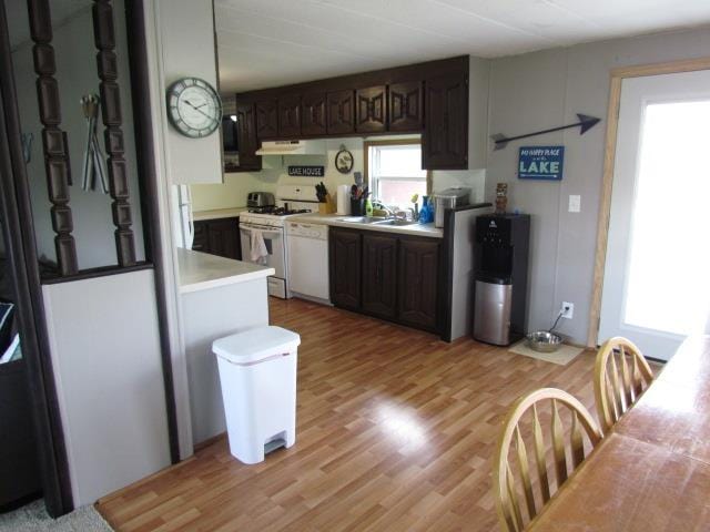 83 Hahns Bay Rd, Lake Metigoshe, ND 58318 - kitchen featuring white appliances, light countertops, under cabinet range hood, light wood-type flooring, and dark brown cabinets