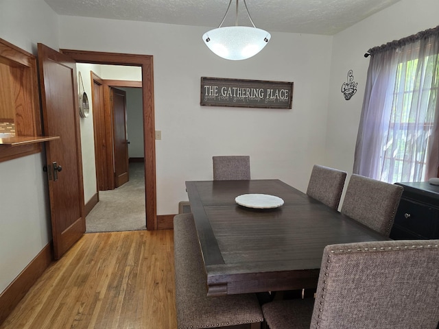 209 University Ave, Minot, ND 58703 - dining room with light wood-style floors and a textured ceiling