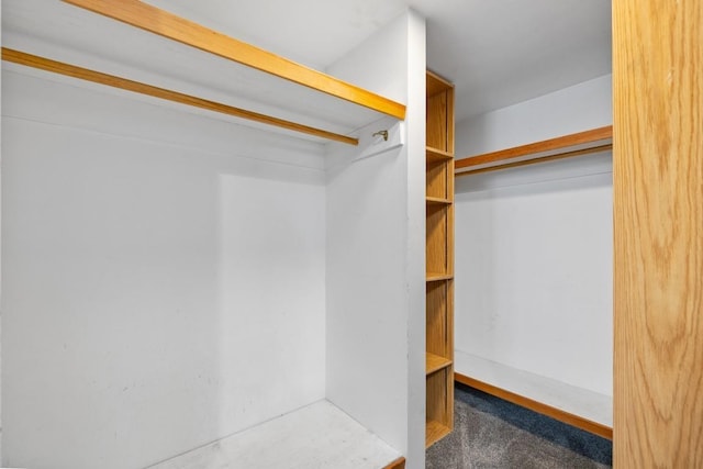 615 18th Ave, Minot, ND 58701 - walk in closet with carpet