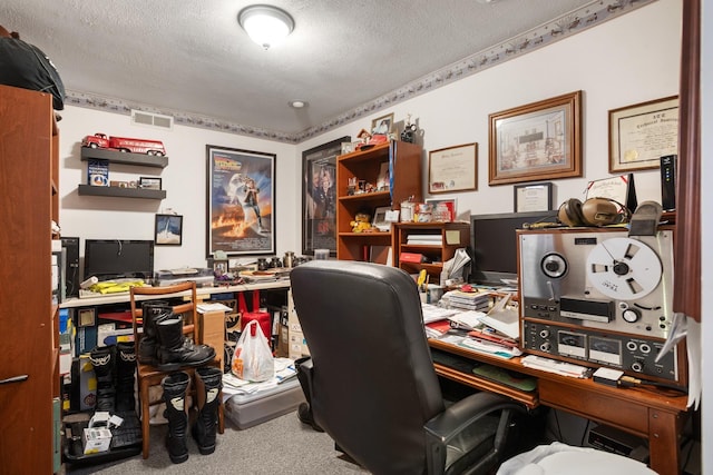 2710 66th St, Minot, ND 58703 - office area with a textured ceiling and carpet